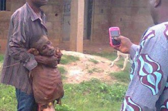 Gabon : Crimes Rituels : Un ancien ministre de la République entendu par la justice